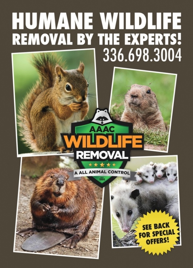 A ALL ANIMAL CONTROL