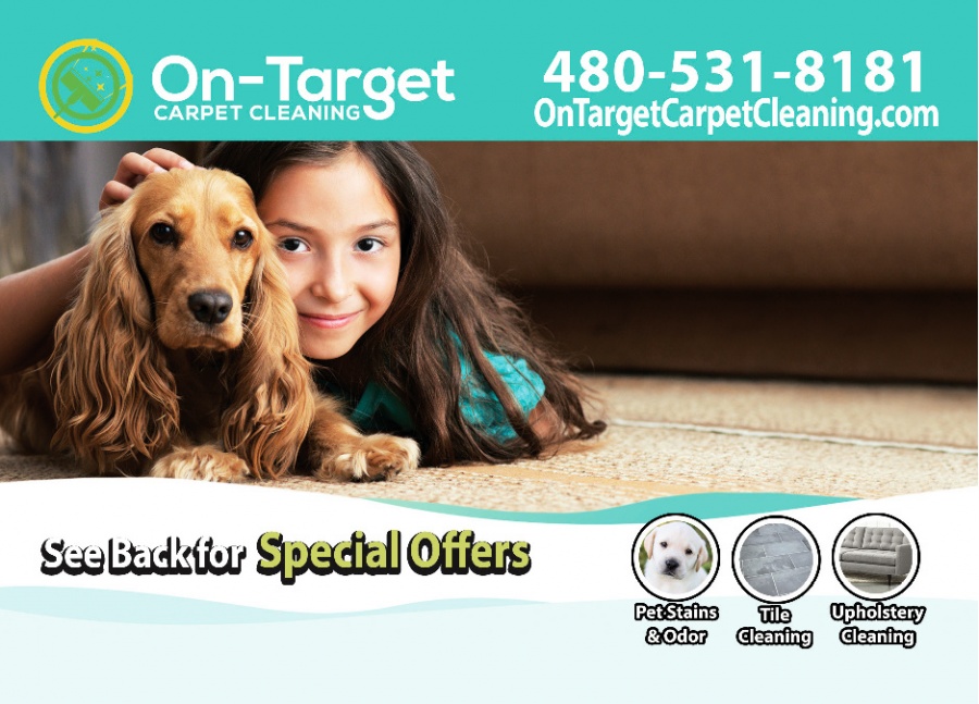 On Target Carpet Cleaning