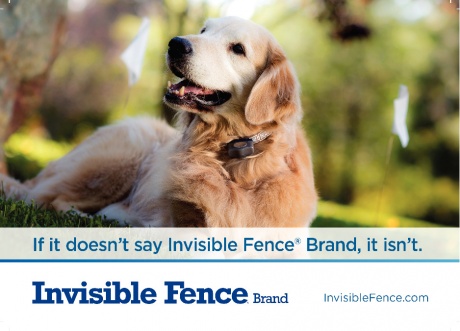 If invisible clearance fencing