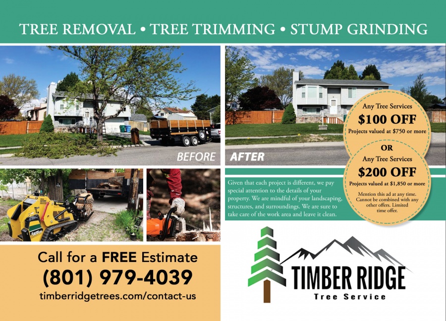 Tree Pruning Ipswich