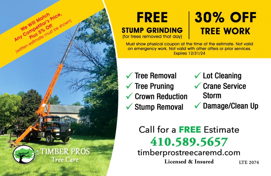 About Timber Works  Timber Works Tree Care