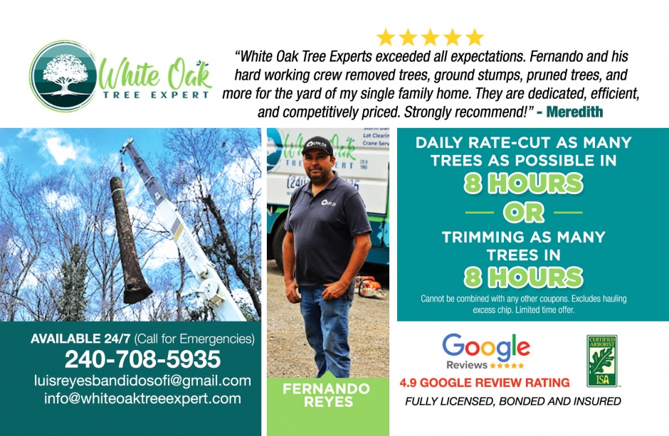 White OaksTree Experts